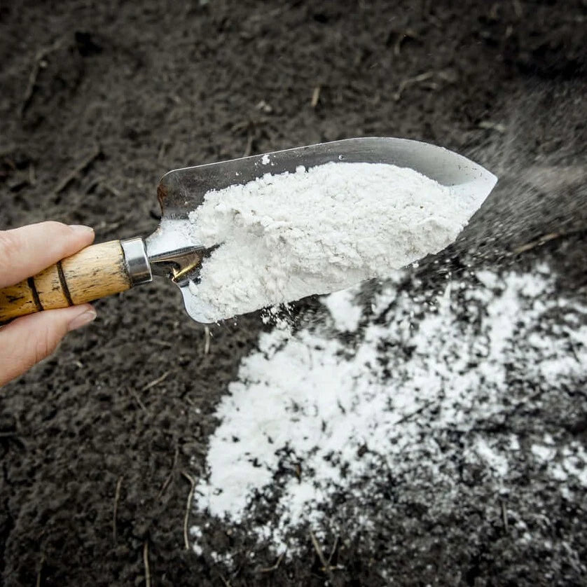 Dolomita – Cal Agrícola