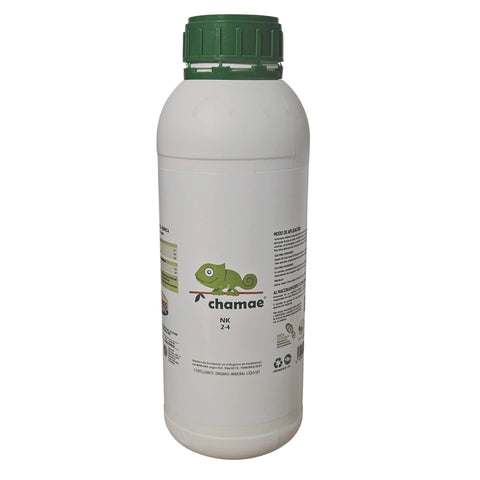 CHAMAE NK 2-4