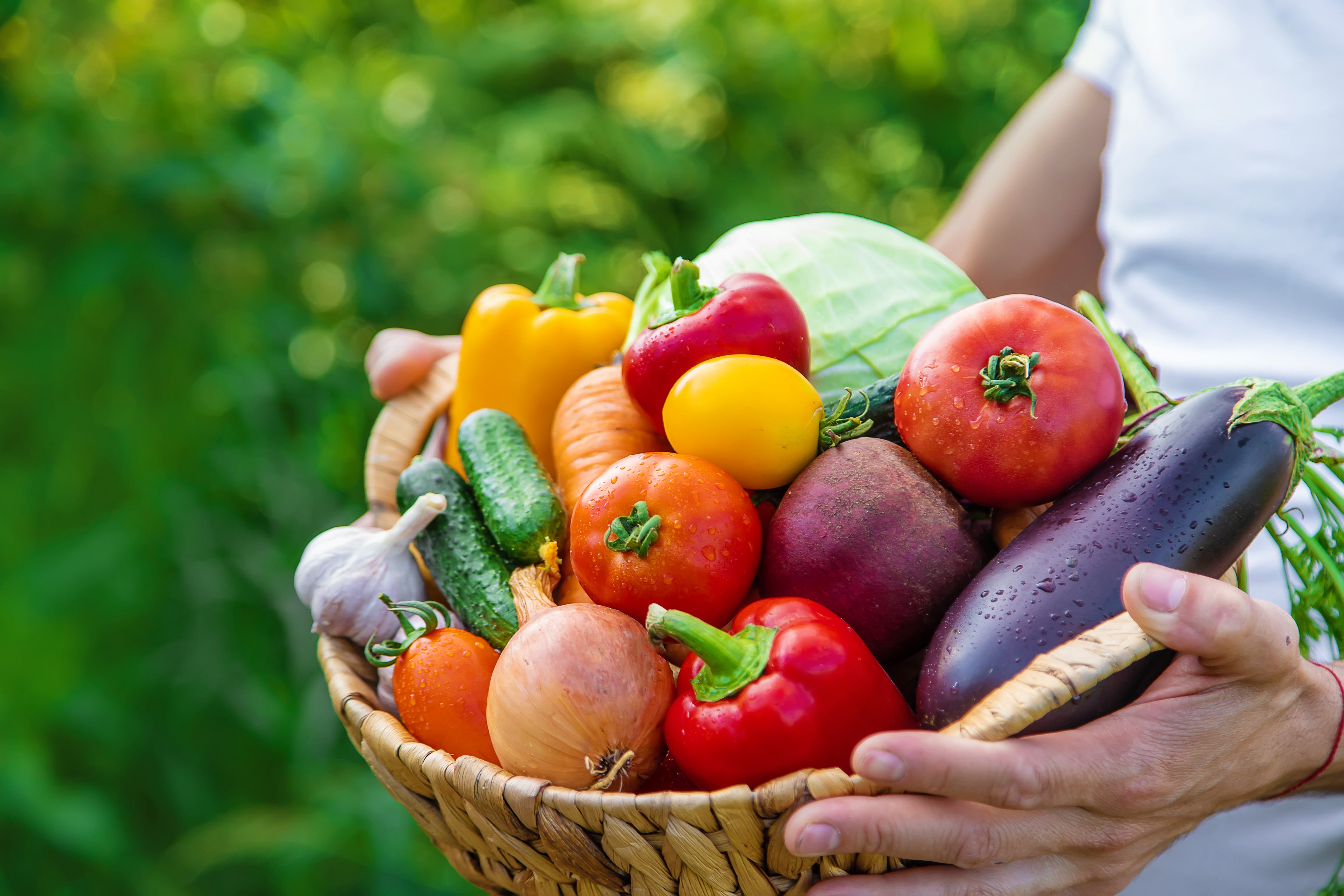 Semana bio para la promoción de la agricultura y alimentación ecológica