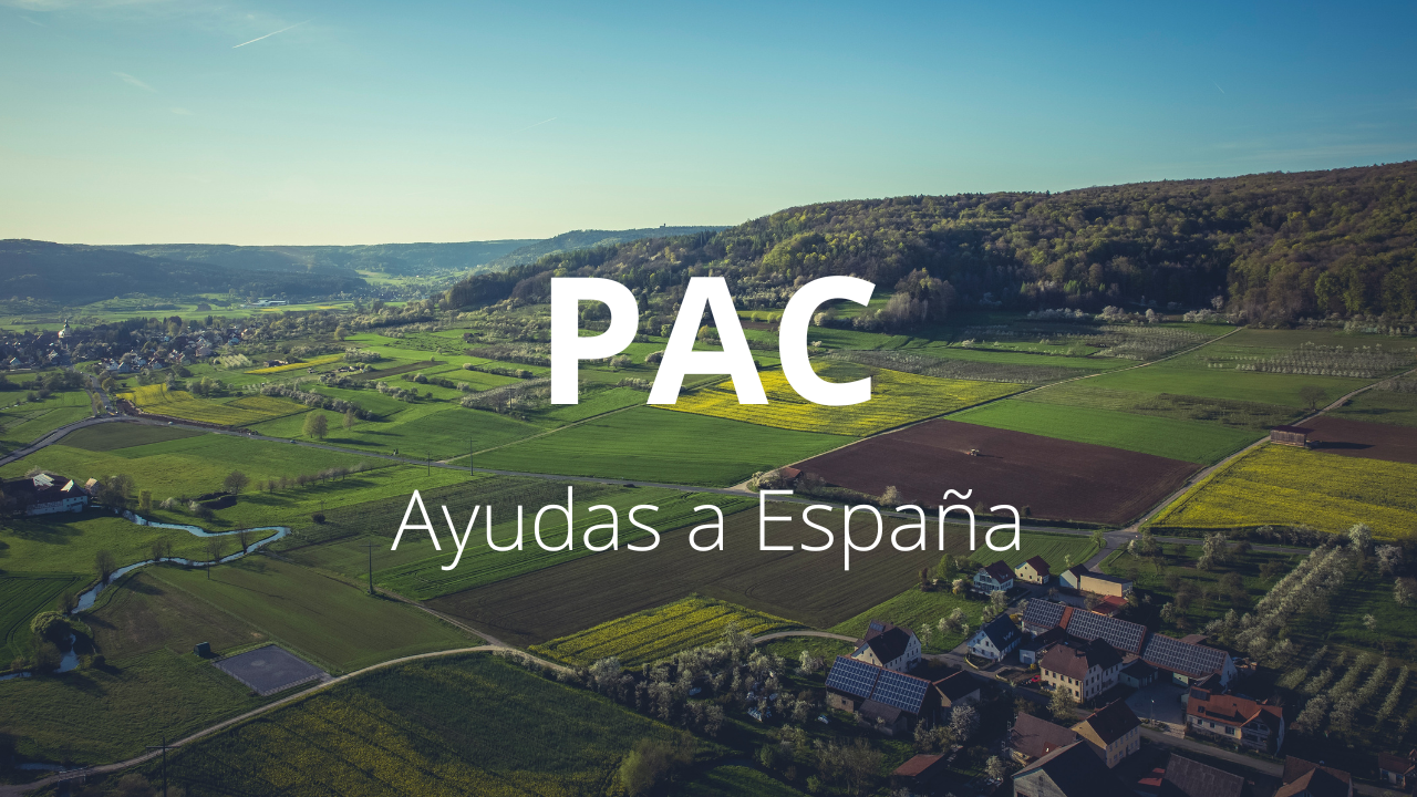 Las ayudas de la Política Agraria Común (PAC) que llegan a España