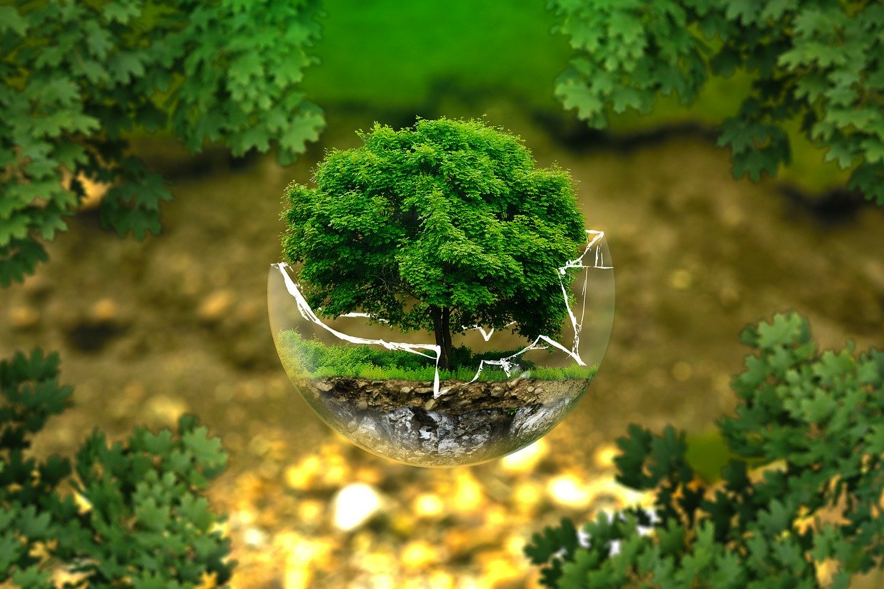 DIMENSIÓN AMBIENTAL
