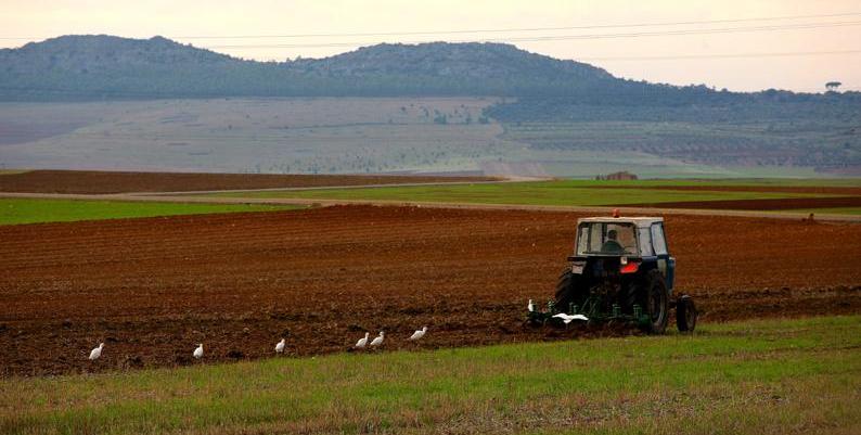Agricultor con cultivador en España