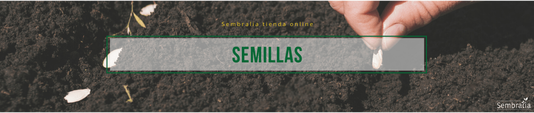 Sembralia se adentra en la venta y distribución de semillas hortícolas