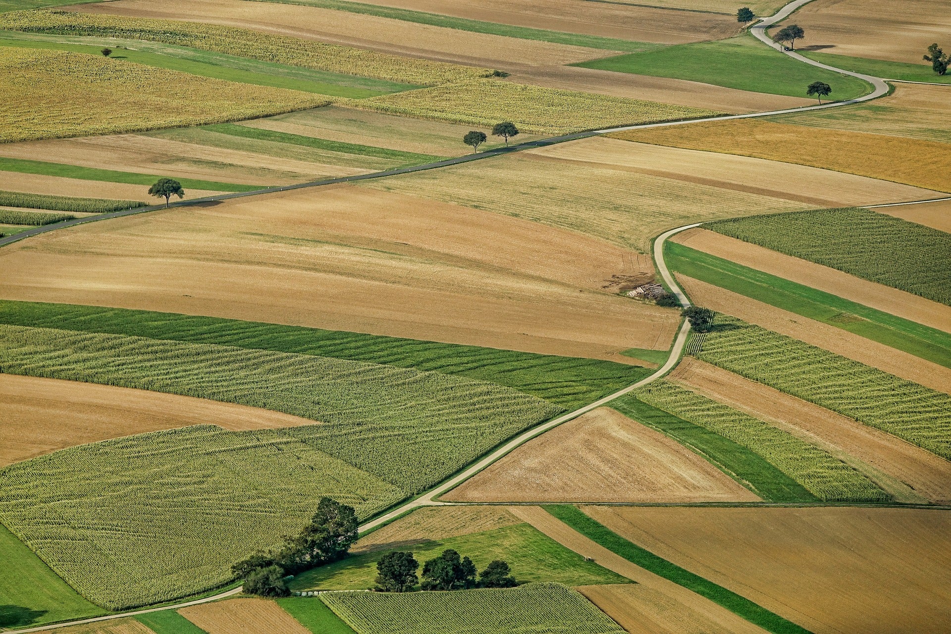 panorámica aerea de campos de cultivo 