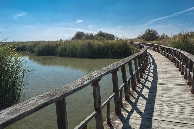 Reserva de agua en el Parque de Doñana (España)