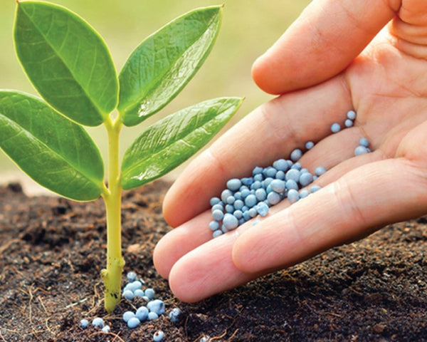 Fertilizantes NPK: ¿Qué son y para qué sirven?