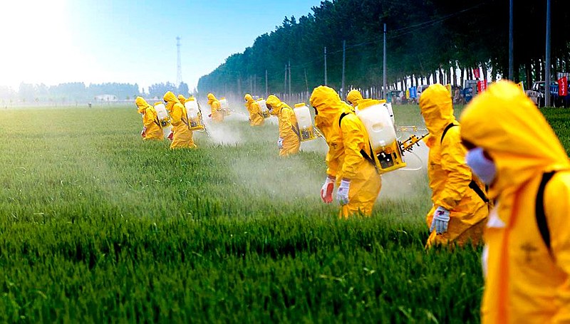 Grupo de personas al¡plicando herbicida