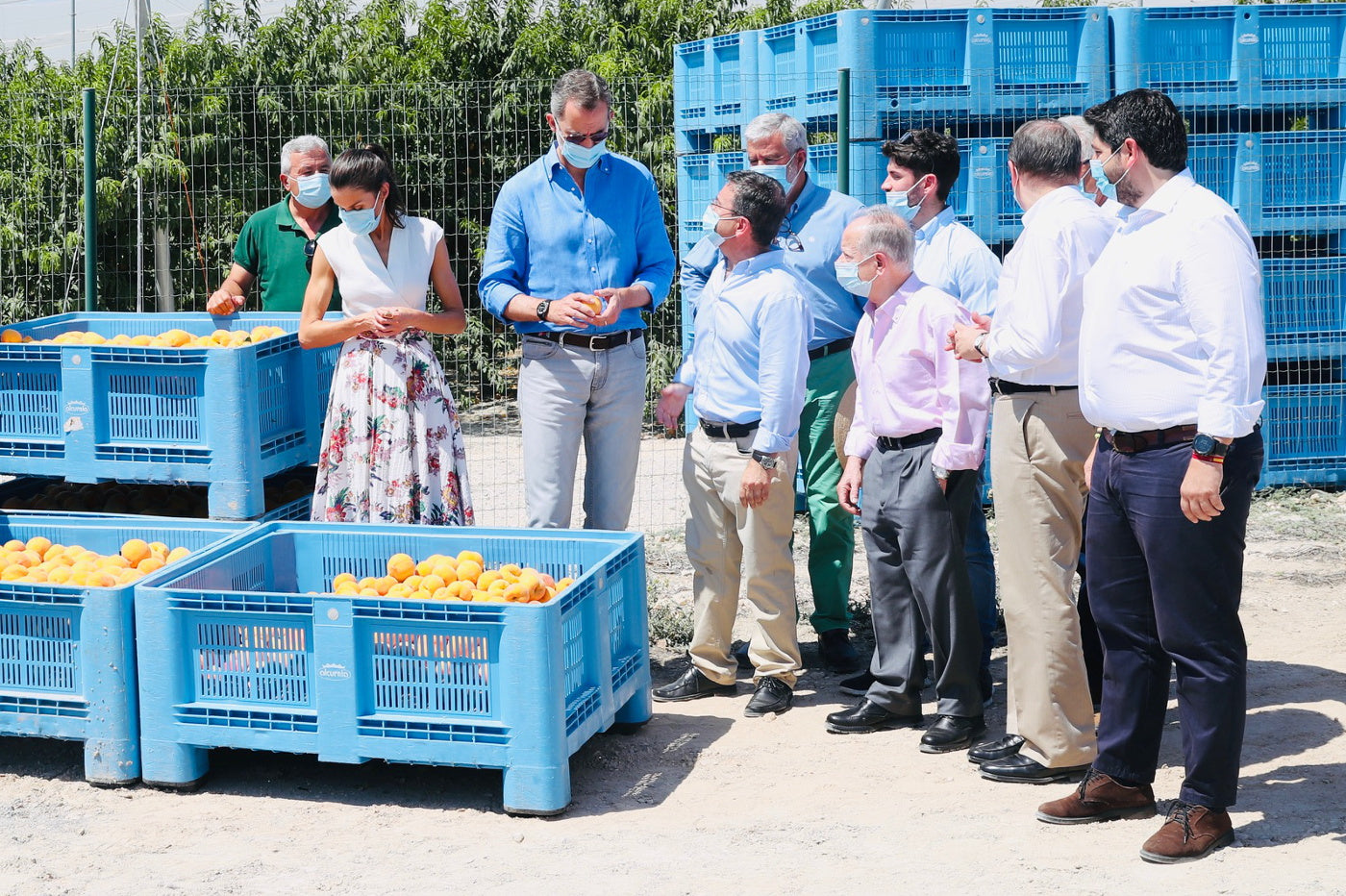 Conoce la cooperativa La Carrichosa, el referente de las frutas en Murcia