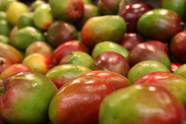 El cultivo del mango y sus peculiaridades