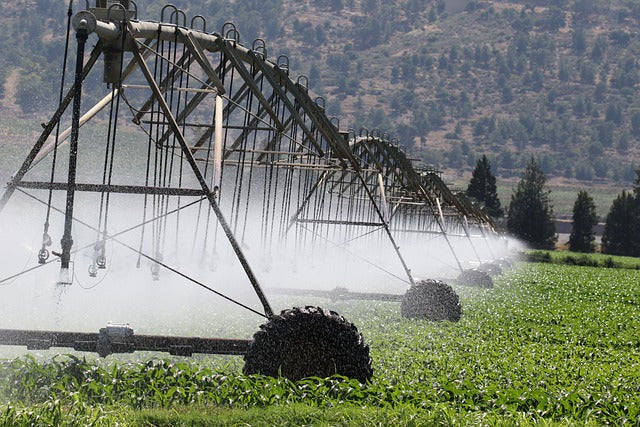 Modelización de cultivos para la simulación del riego y la plantación