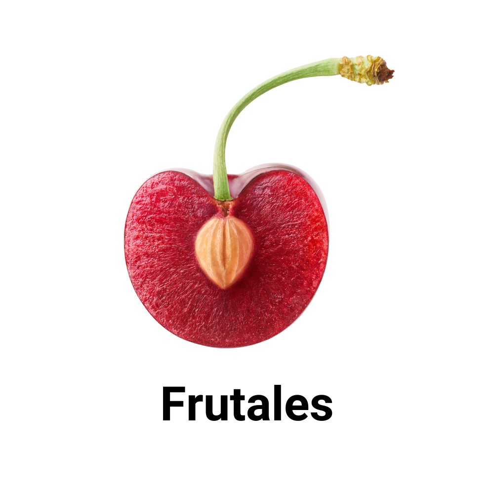 Abonos y fertilizantes para frutales: envío gratis a toda la península