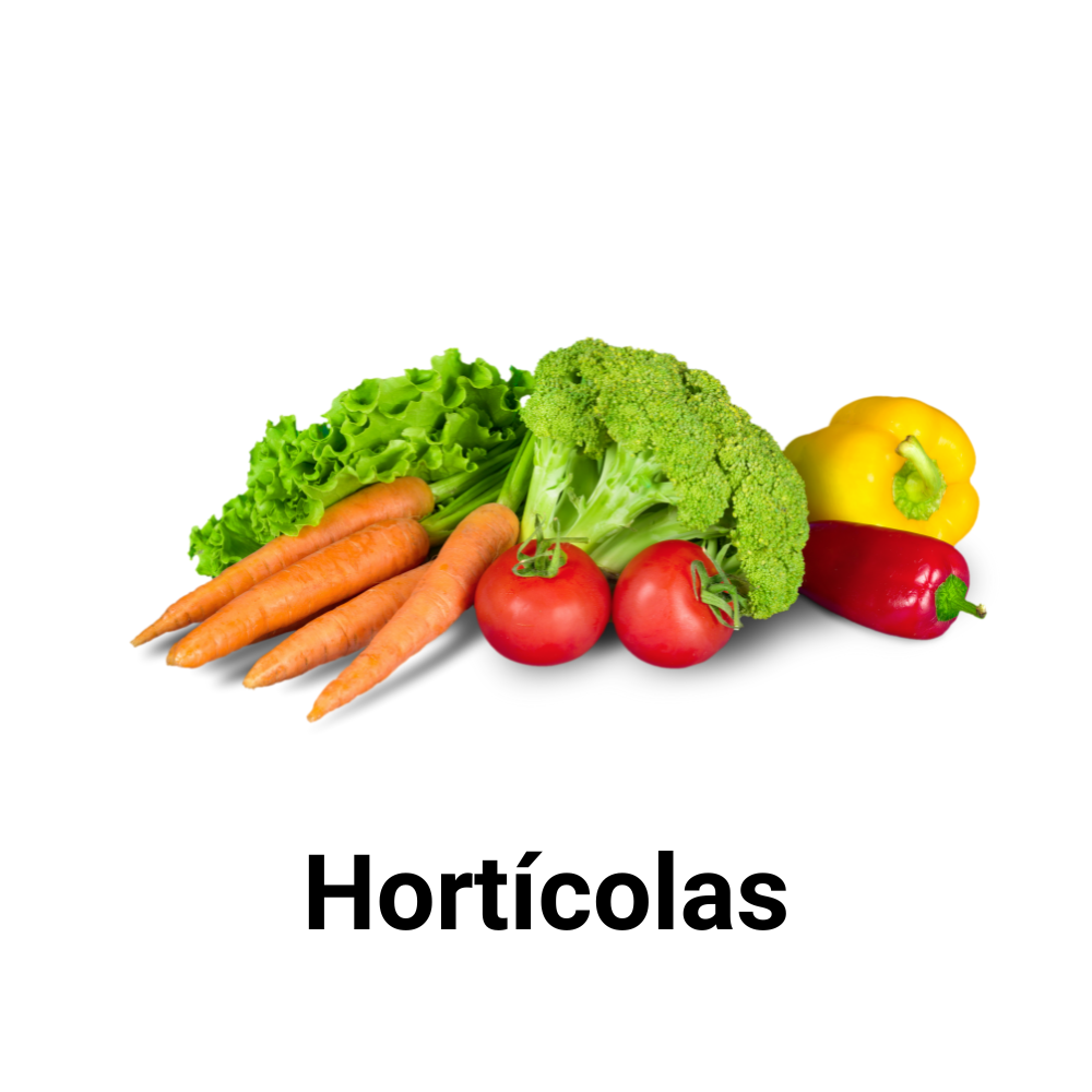 Abonos y fertilizantes para Hortícolas: envío gratis a toda la península