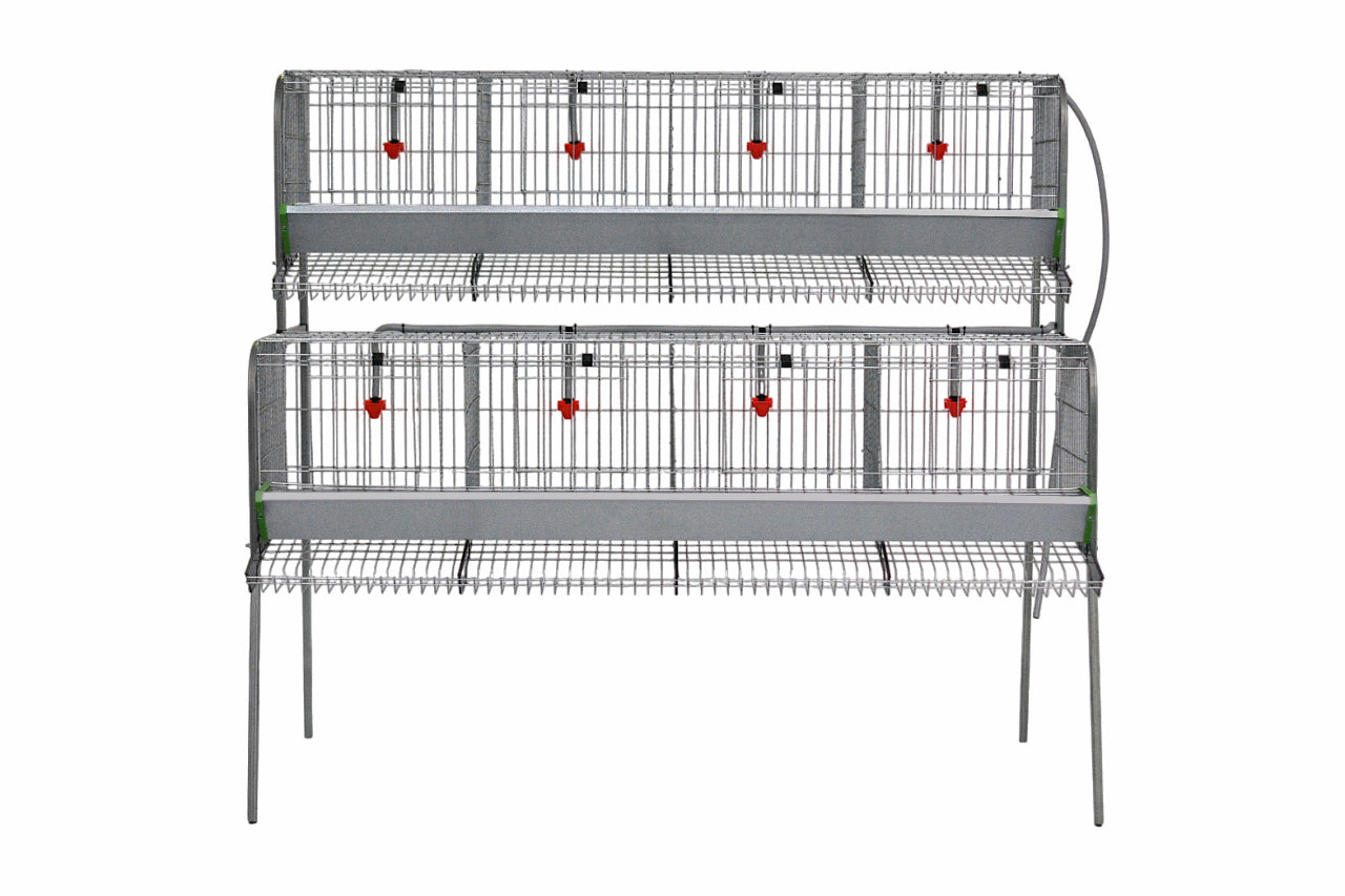 Modelo A-4 para gallinas – Jaula para gallinas ponedoras con recogehuevos y bebedero