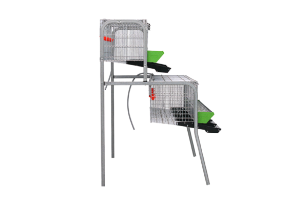 Modelo A-4 para gallinas – Jaula para gallinas ponedoras con recogehuevos y bebedero