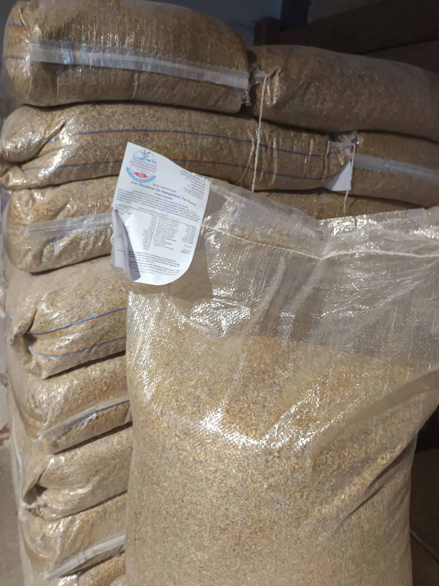 Pienso Convencional para Aves Ponedoras Sin transgénicos-25KG