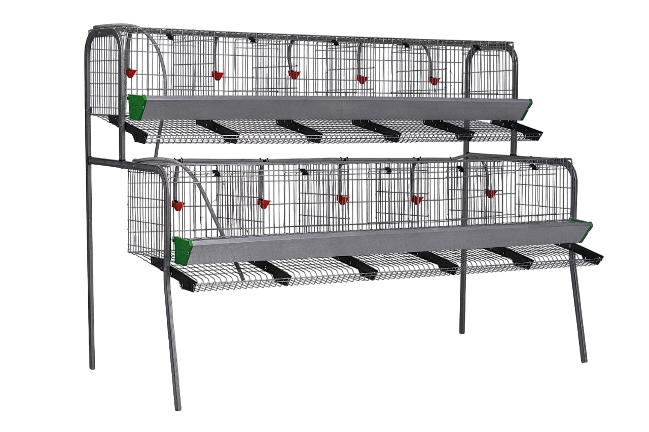 Modelo A-5 para gallinas – Jaula para gallinas ponedoras con recogehuevos y bebedero