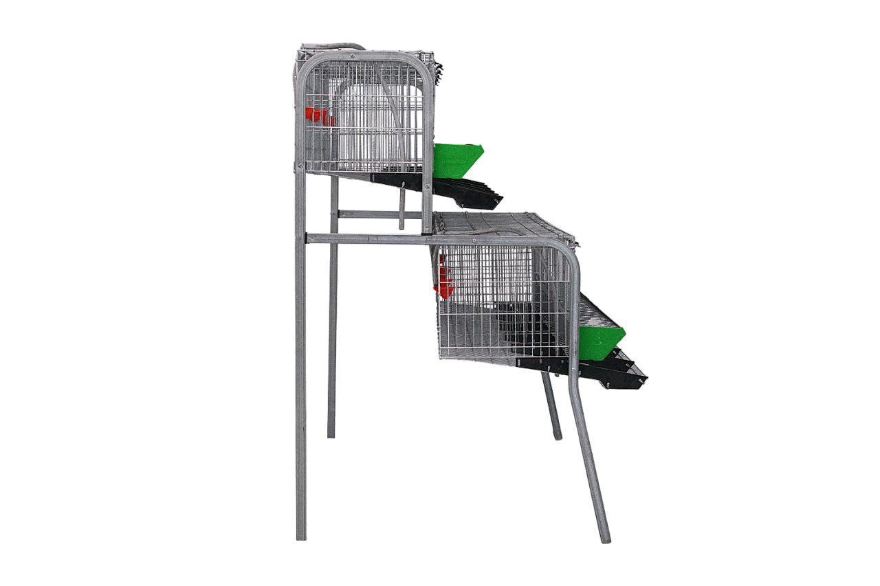 Modelo A-5 para gallinas – Jaula para gallinas ponedoras con recogehuevos y bebedero