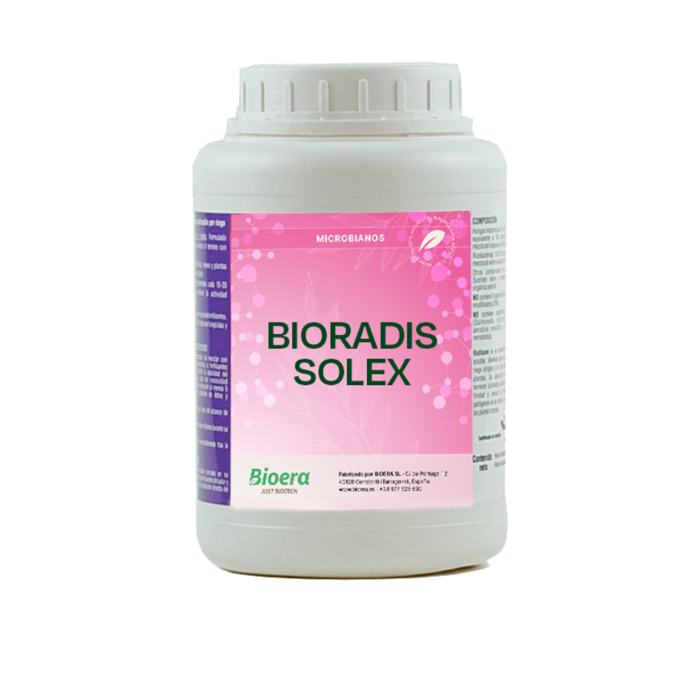 Bioradis Solex - Inoculante endomicorrícico con PGP para fertirriego o pulverización en cultivos extensivos