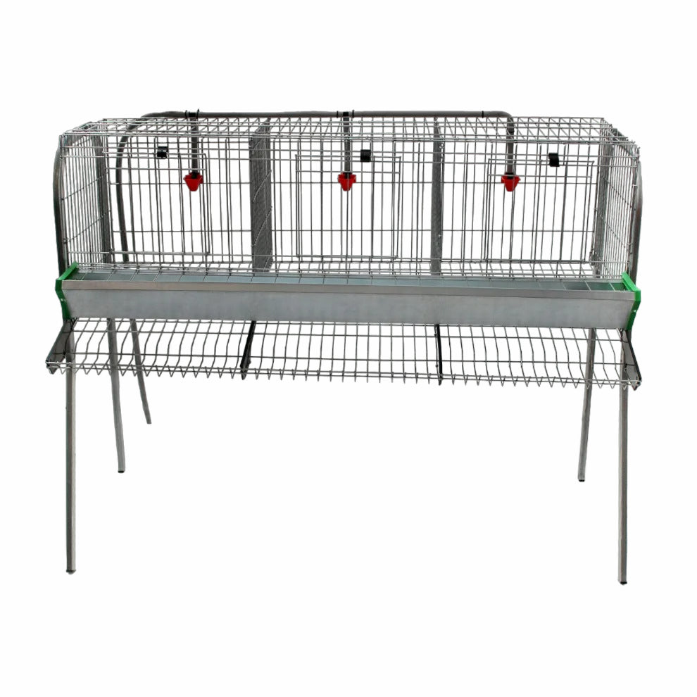 Modelo A-3 para gallinas – Jaula para gallinas ponedoras con recogehuevos y bebedero