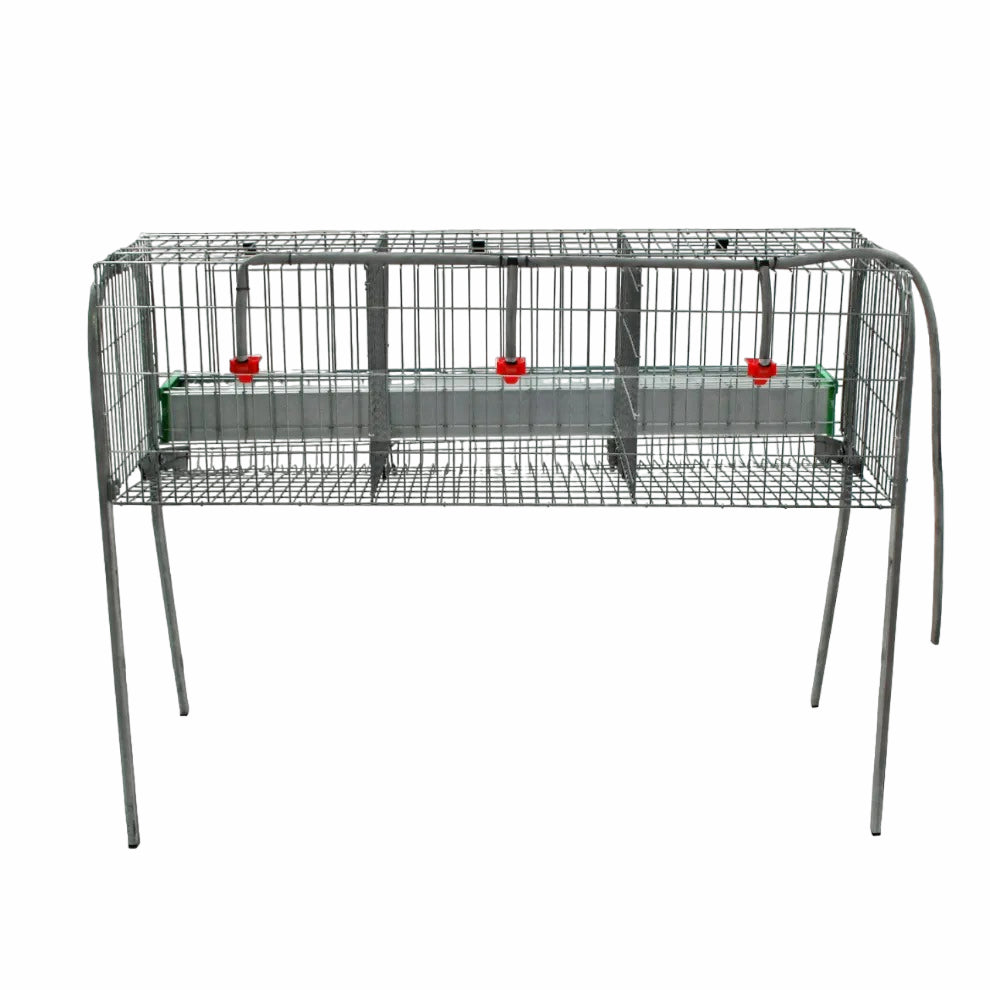 Modelo A-3 para gallinas – Jaula para gallinas ponedoras con recogehuevos y bebedero