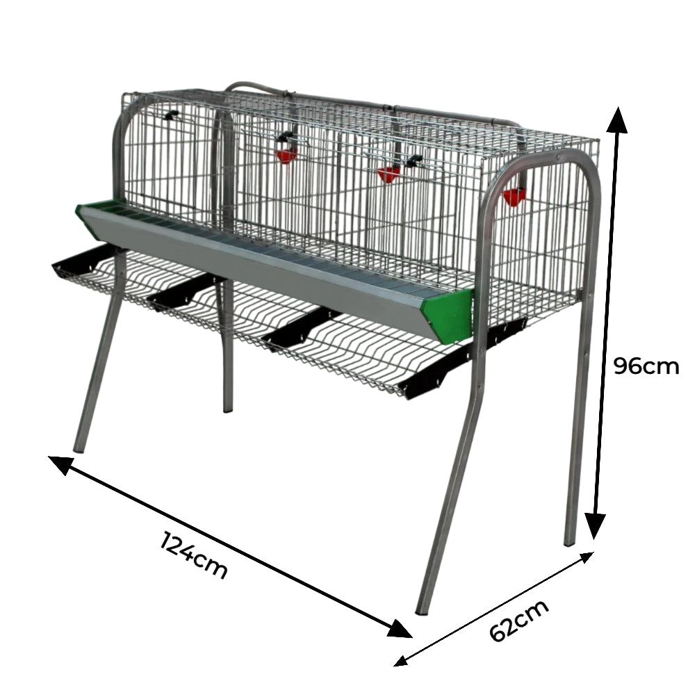 Modelo A-3 para gallinas – Jaula para gallinas ponedoras con recogehuevos y bebedero