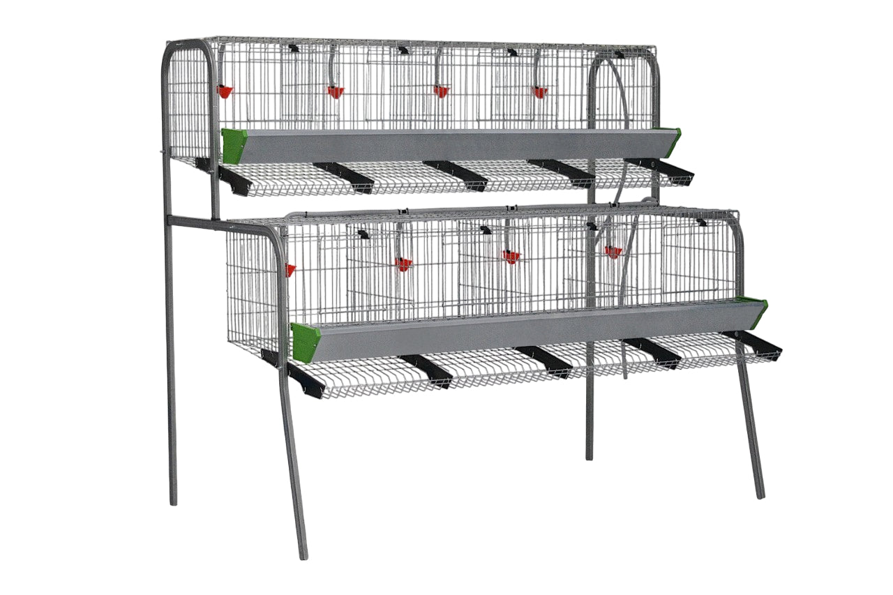 Modelo A-4 para gallinas – Jaula para gallinas ponedoras con recogehuevos y bebedero