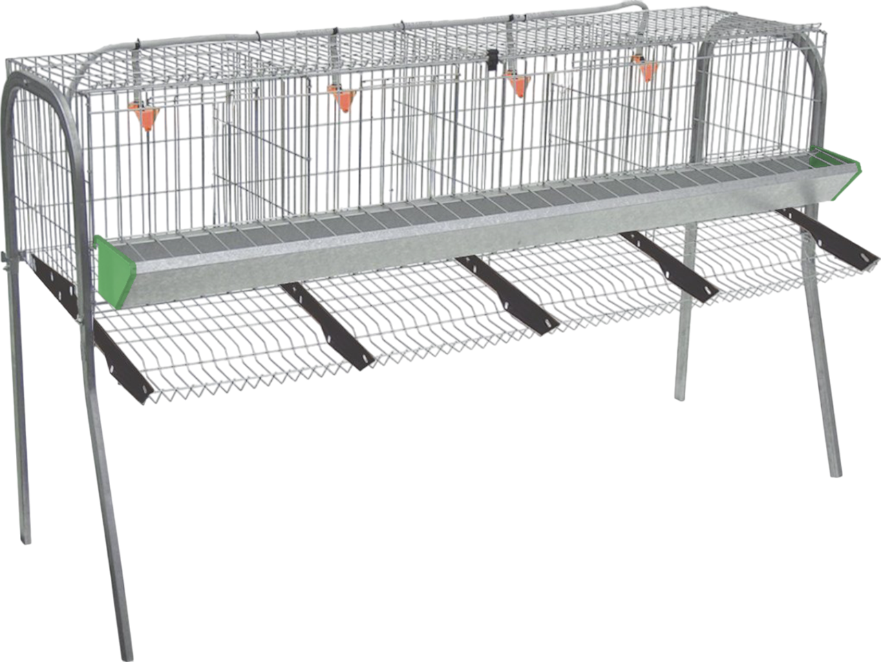 Modelo A-4 para gallinas – Jaula para gallinas ponedoras con recogehuevos y bebedero