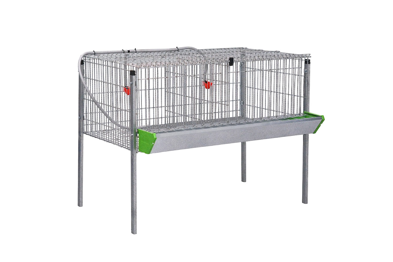 Modelo Pollos Poly-2 – Engorde con Comedero y Bebedero