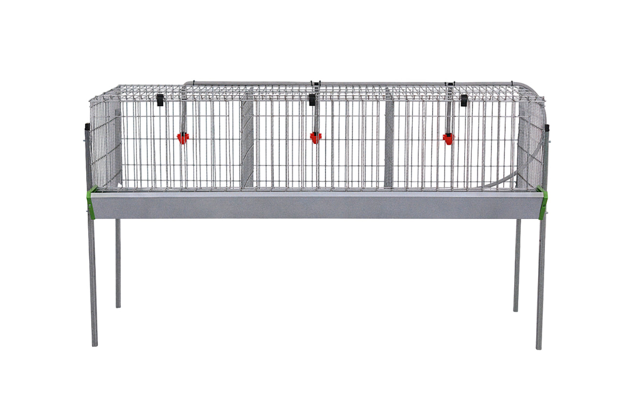 Modelo Pollos Poly-3 – Engorde con Comedero y Bebedero
