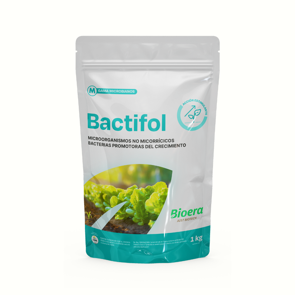 BACTIFOL - Bioestimulante microbiano