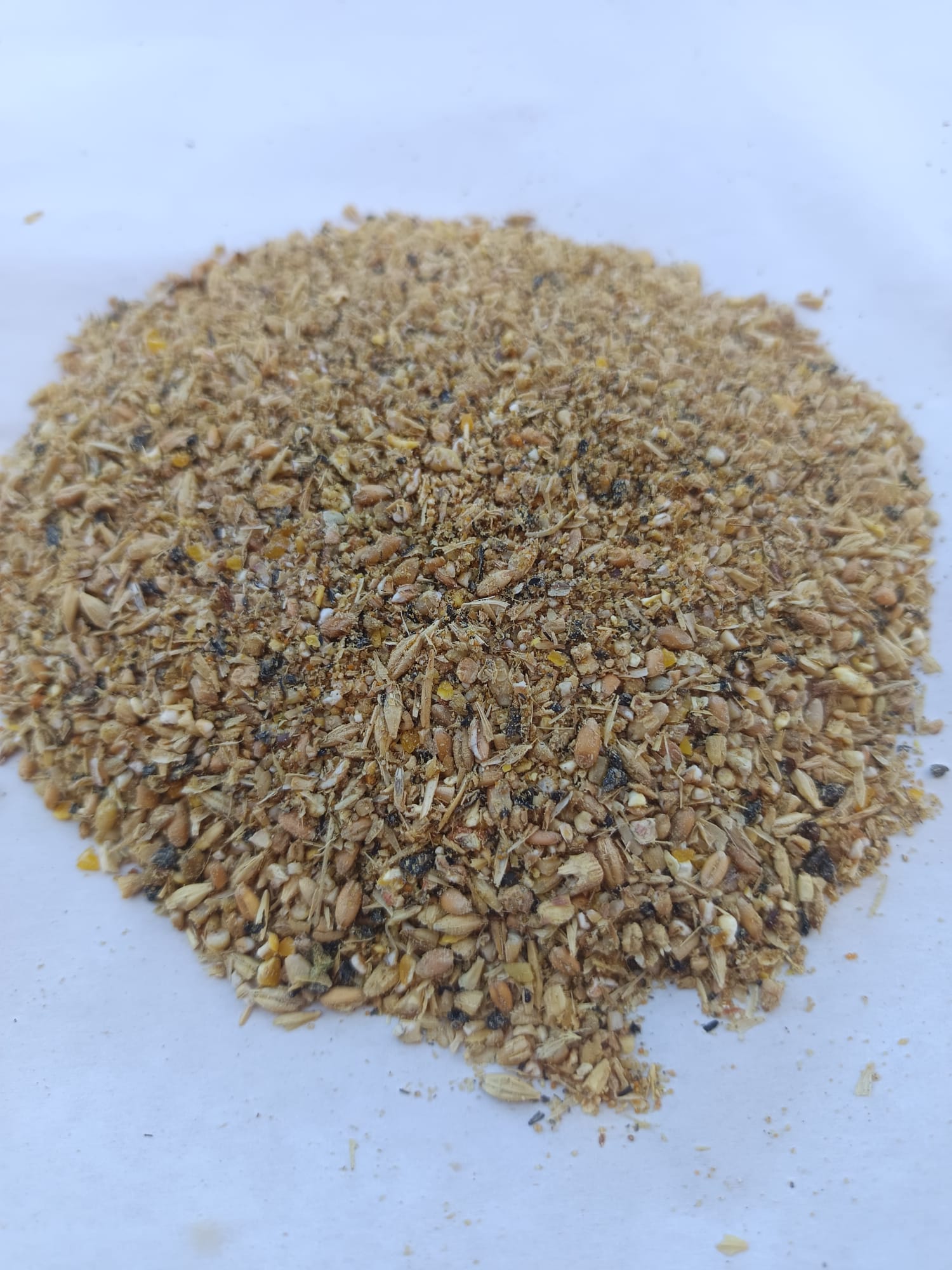 Pienso Convencional para Aves Ponedoras Sin transgénicos-25KG