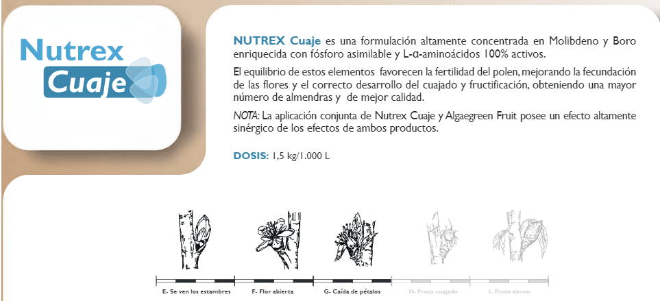 Nutrex Cuaje - Bioestimulante de uso agrícola