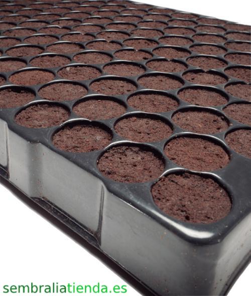 Bandejas de semillero de 150 tacos sin riego (8 unidades)
